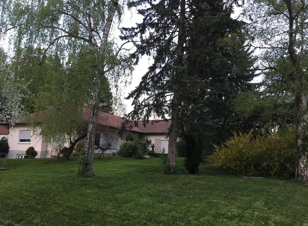 Schoene Ferienwohnung 2,5 Zimmer In Stadtnaehe Mit Eigenem Hofgarten Balingen Exterior foto